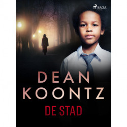 De stad