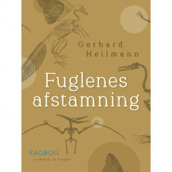 Fuglenes afstamning