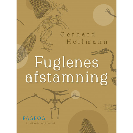 Fuglenes afstamning