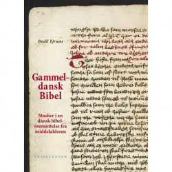 Gammeldansk Bibel: Studier i en dansk bibeloversættelse fra middelalderen