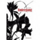 Undergang
