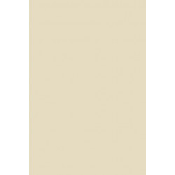 Engineering the State: The Huai River and Reconstruction in Nationalist China, 1927–37