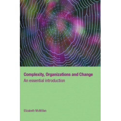 Complexity, Organizations and Change: An Essential Introduction