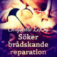 Söker brådskande reparation - erotisk novell