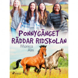 Ponnygänget räddar ridskolan