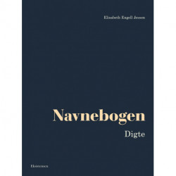 Navnebogen