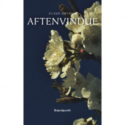 Aftenvindue