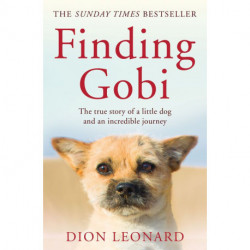 Finding Gobi: The true story of a little dog and an incredible journey
