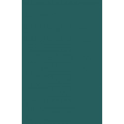 Caring for the Chronically Ill: Philadelphia, 1945-1965