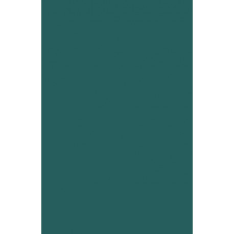 Caring for the Chronically Ill: Philadelphia, 1945-1965