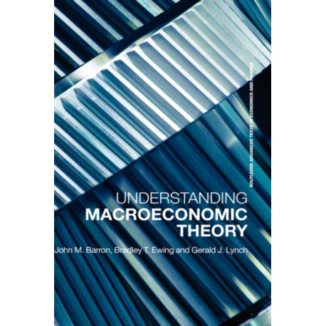 Understanding Macroeconomic Theory
