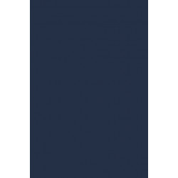 Trances, Dances and Vociferations: Agency and Resistance in Africana Women's Narratives