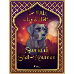 Storia di Sidi-Nouman (Le Mille e Una Notte 56)
