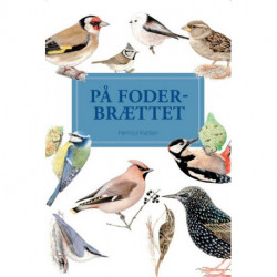 På Foderbrættet - display med 10 stk: fugle ved foderbrættet
