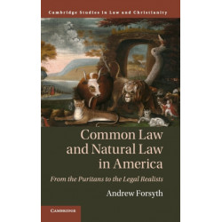 Common Law and Natural Law in America: From the Puritans to the Legal Realists