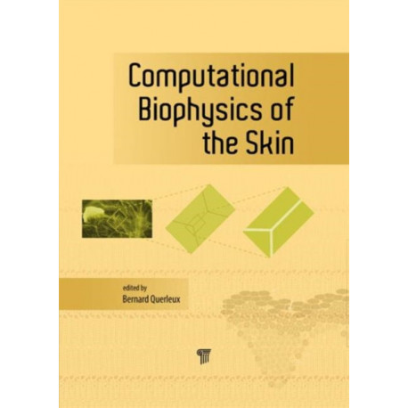 Computational Biophysics of the Skin