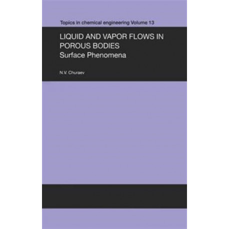 Liquid and Vapour Flows in Porous Bodies: Surface Phenomena