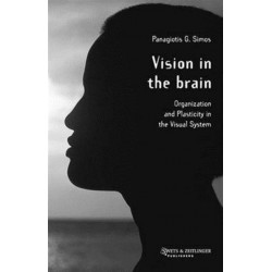 Vision in the Brain