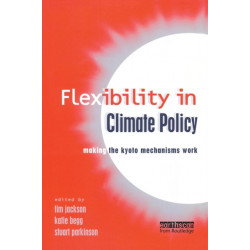 Flexibility in Global Climate Policy: Beyond Joint Implementation