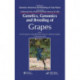 Genetics, Genomics, and Breeding of Grapes