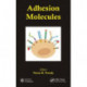 Adhesion Molecules
