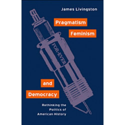 Pragmatism, Feminism, and Democracy: Rethinking the Politics of American History