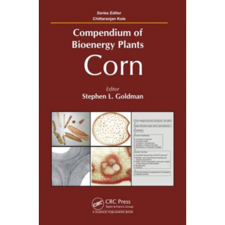 Compendium of Bioenergy Plants: Corn