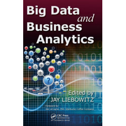 Big Data and Business Analytics