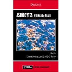 Astrocytes: Wiring the Brain