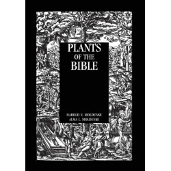 Plants Of The Bible