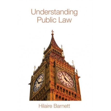 Understanding Public Law