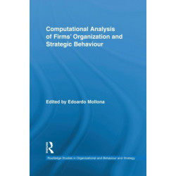 Computational Analysis of Firms' Organization and Strategic Behaviour