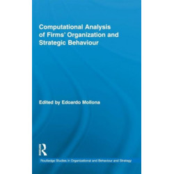 Computational Analysis of Firms' Organization and Strategic Behaviour
