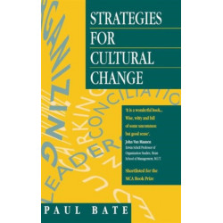 Strategies for Cultural Change
