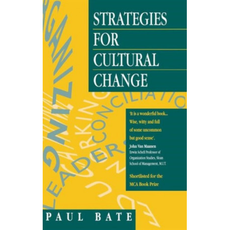 Strategies for Cultural Change