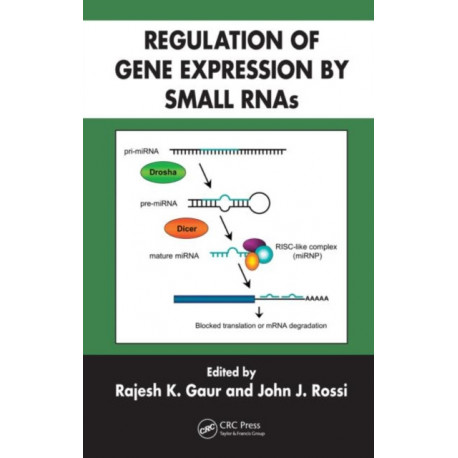 Regulation of Gene Expression by Small RNAs