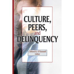 Culture, Peers, and Delinquency