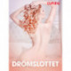Drömslottet - erotiska noveller