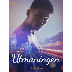 Utmaningen - erotisk novell