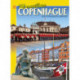Maravillosa Copenhague, Spansk (2020): guía fotográfica completa (tidligere 9788770840576)