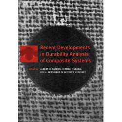 Recent Developments in Durability Analysis of Composite Systems