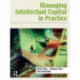 Managing Intellectual Capital in Practice