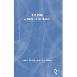 Big Data: A Beginner's Introduction