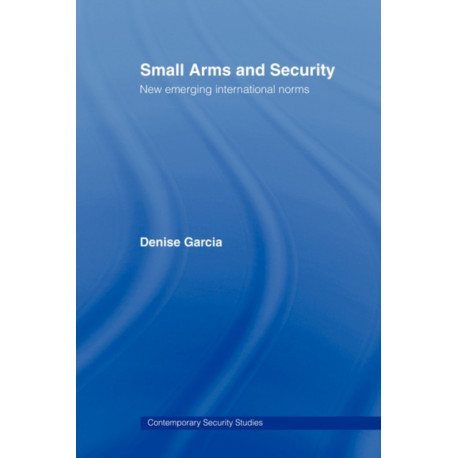 Small Arms and Security: New Emerging International Norms