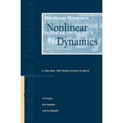 Nonlinear Dynamics: A Two-Way Trip from Physics to Math