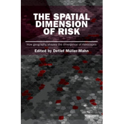 The Spatial Dimension of Risk: How Geography Shapes the Emergence of Riskscapes