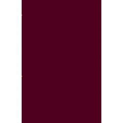 Manchester in 1844: Its Present Condition and Future Prospects