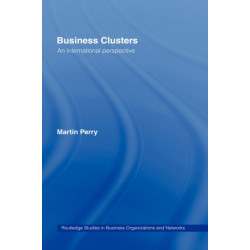 Business Clusters: An International Perspective