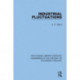 Industrial Fluctuations