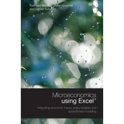 Microeconomics using Excel: Integrating Economic Theory, Policy Analysis and Spreadsheet Modelling